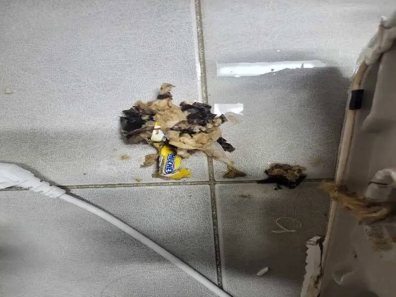 성북구 배관 이물질 제거 사례 2