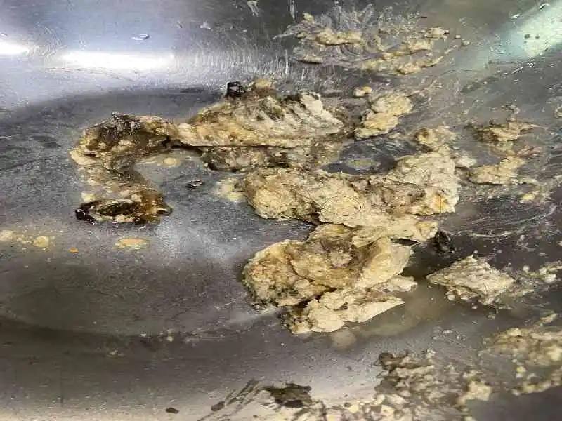 성북구 싱크대에 기름을 버리면 생기는 일